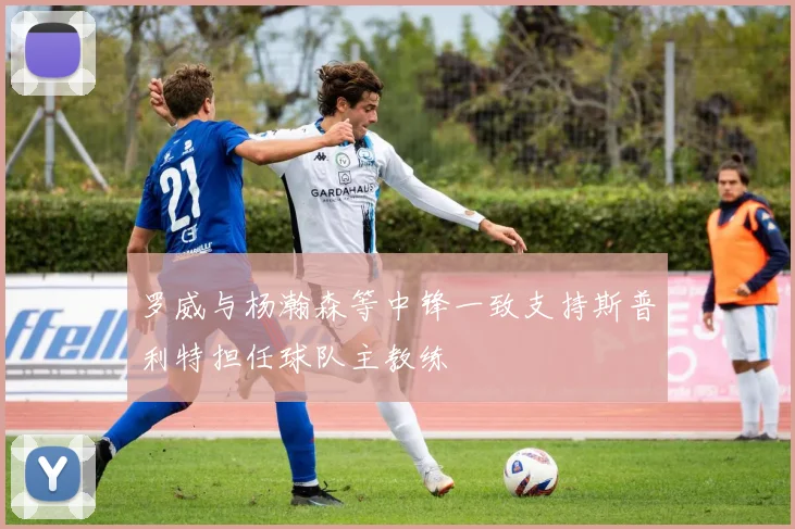 罗威与杨瀚森等中锋一致支持斯普利特担任球队主教练