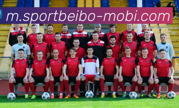 贝博体育APP 封面图